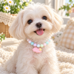 Collar Joya para Mascotas con Dije y Cuentas Decorativas para Perros - Imagen 5